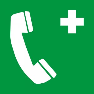 Telefono di emergenza in alluminio composito da parete - E004