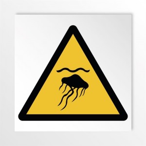 Attenzione meduse in alluminio composito da parete - W069