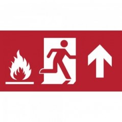 Uscita antincendio con fiamme alto in alluminio composito da parete