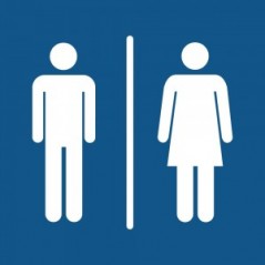 Toilette uomini e donne in plexiglass trasparente a bandiera