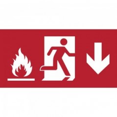 Uscita antincendio con fiamme basso in plexiglass trasparente da soffitto