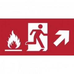 Uscita antincendio con fiamme destra alto in plexiglass trasparente da soffitto