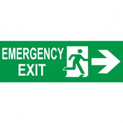 Scritta Emergency exit destra in plexiglass trasparenti da parete