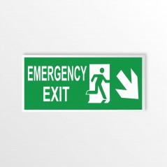 Scritta Emergency exit destra basso in alluminio composito da parete