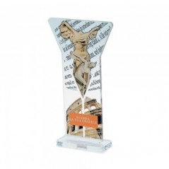 Trofeo di Partecipazione in plexiglass trasparente retrostampato imbuto