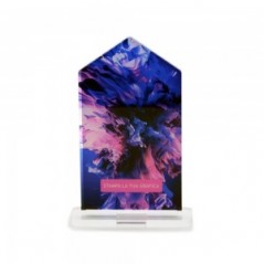 Trofeo Template in plexiglass trasparente retrostampato pentagono irregolare verticale