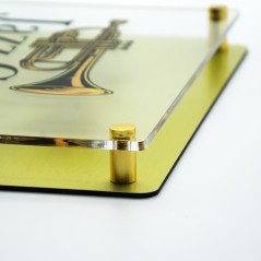 Targa Doppia Lastra in Alluminio Composito Oro Spazzolato e Plexiglass Trasparente Stampata Rettangolare o Quadrata