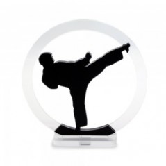 Trofeo Nero Opaco in plexiglass trasparente retrostampato cerchio karateka