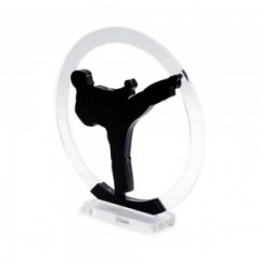 Trofeo Nero Opaco in plexiglass trasparente retrostampato cerchio karateka