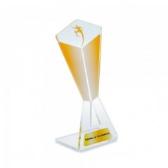 Targa di Partecipazione in plexiglass trasparente retrostampato piramide invertita