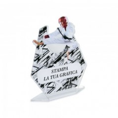 Targa Sport in plexiglass trasparente retrostampato esagono arti marziali