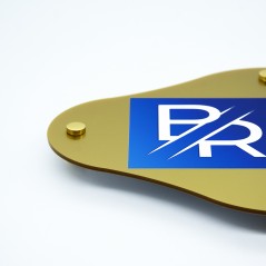 Targa in Plexiglass Gold Stampata Rombo Arrotondato