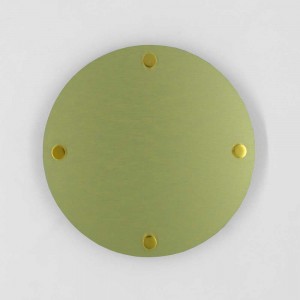 Targa Neutra in Alluminio Composito Oro Spazzolato tipologia Circolare