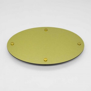 Targa Neutra in Alluminio Composito Oro Spazzolato tipologia Ellisse