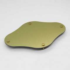 Targa Neutra in Alluminio Composito Oro Spazzolato tipologia Rombo Arrotondato