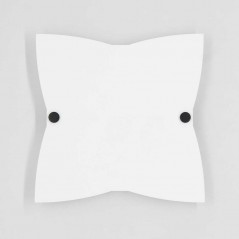 Targa Neutra in Plexiglass Bianco tipologia Stella 4 Punte