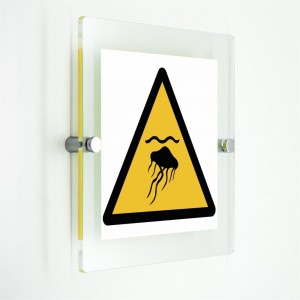 Attenzione meduse - in plexiglass trasparenti da parete W069